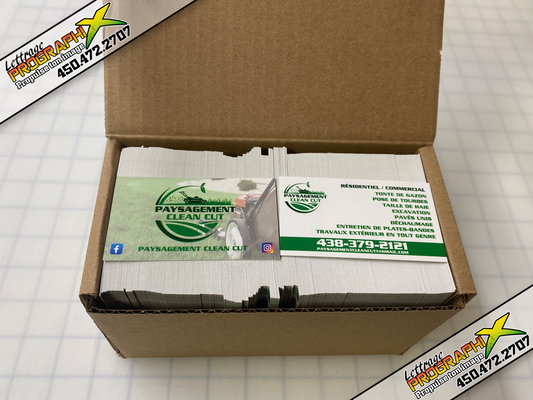 Création de cartes d'affaire pour Paysagement Clean cut